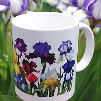 mug DS-155 6993.jpg